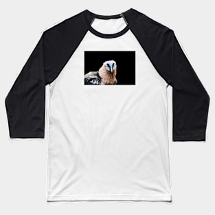 Bearded Vulture 1 / Swiss Artwork Photography Baseball T-Shirt